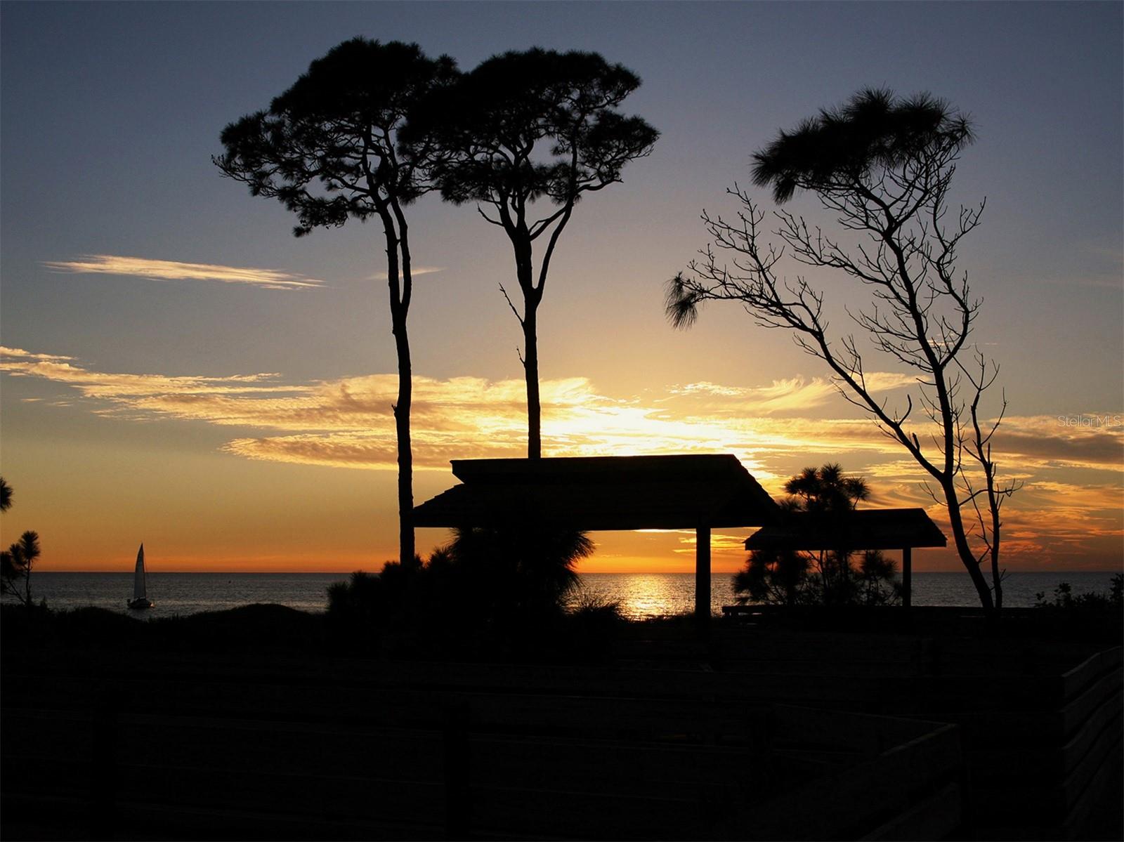 225 THE ESPLANADE N. #401 photo 4
