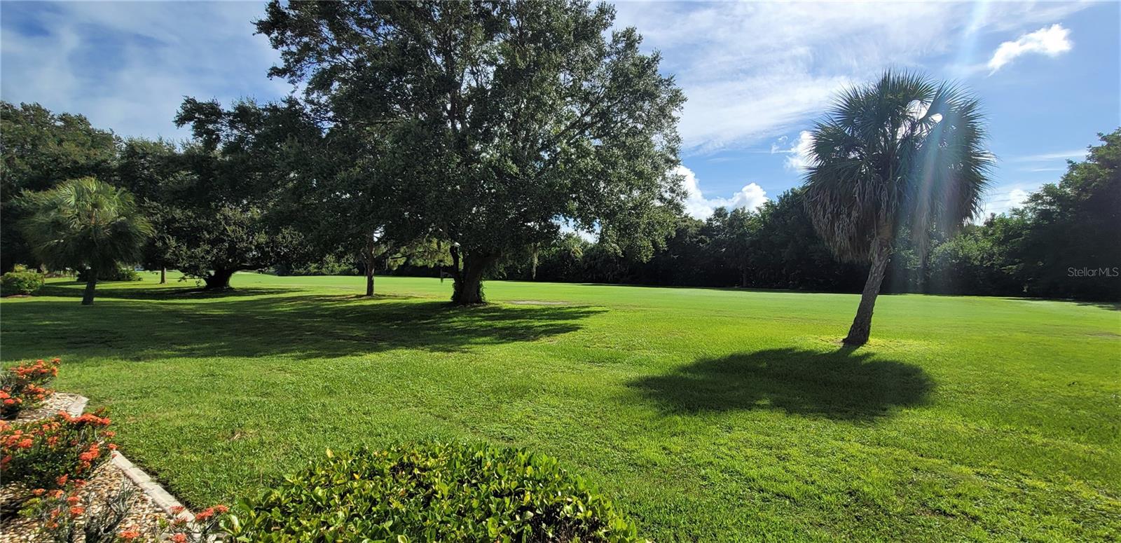 26311 SEMINOLE LAKES BLVD photo 3