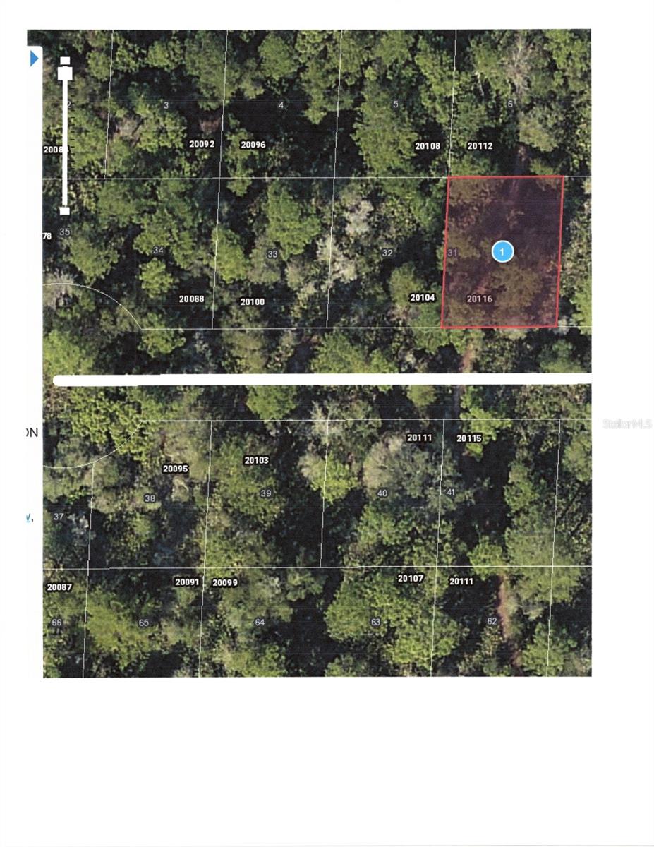 LOT 31 CHASE CT photo 3