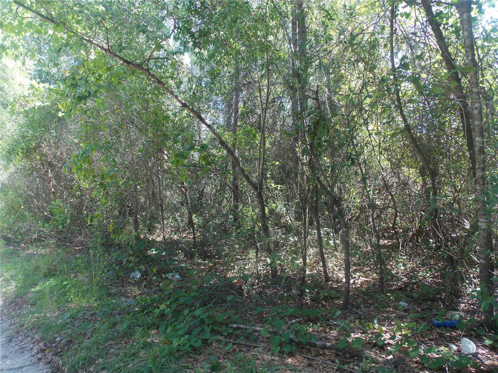 Lot 37-44 PINE ST photo 2