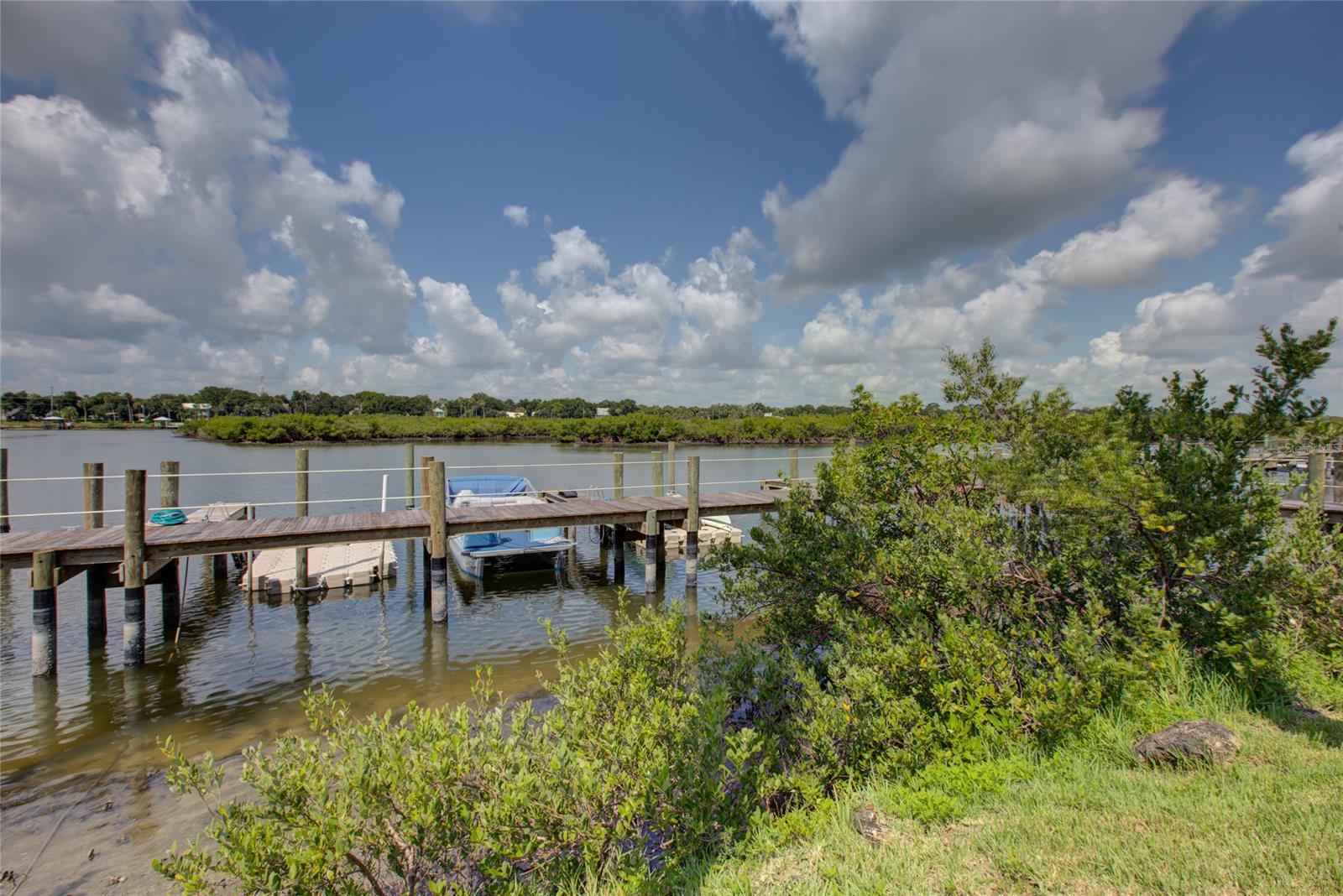 58 NE SABAL CAY CT photo 5