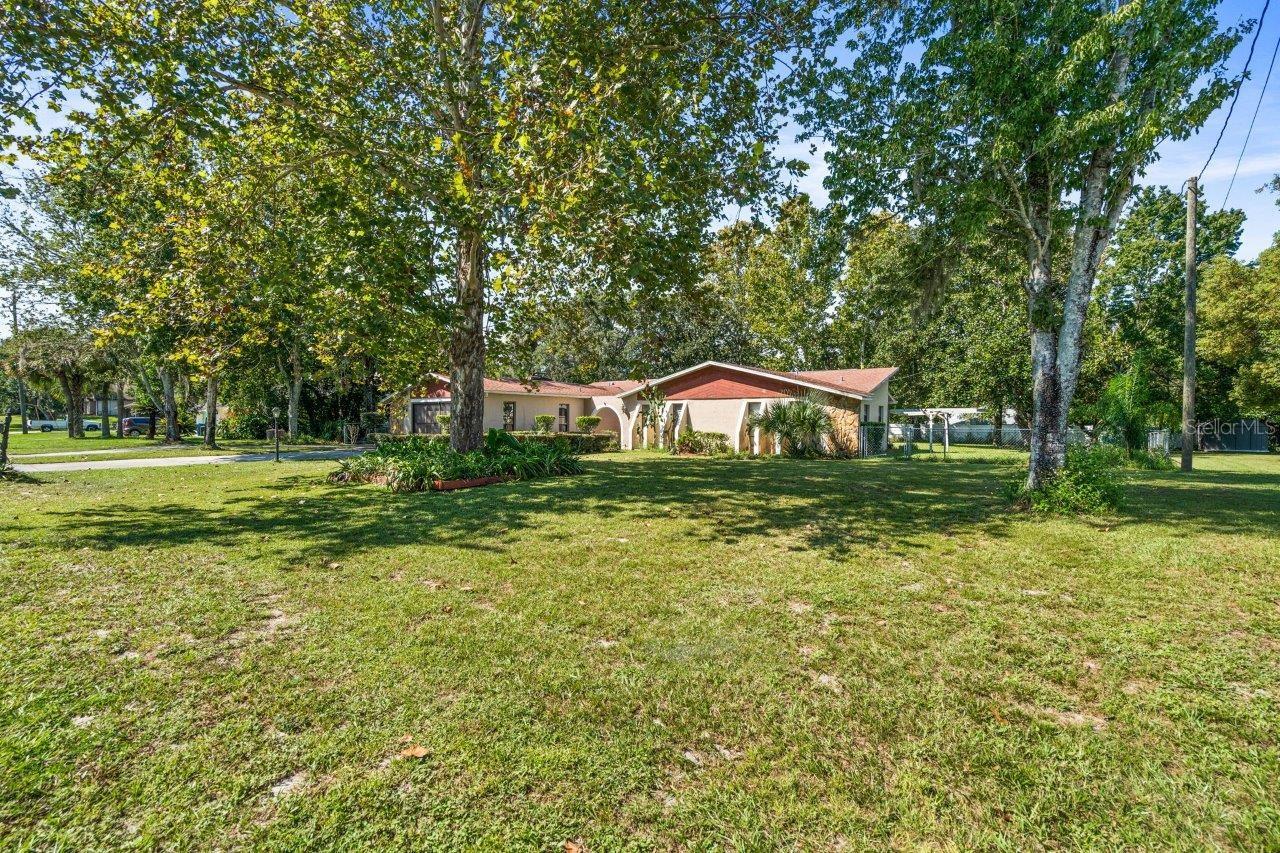 12444 CORONADO DR photo 5