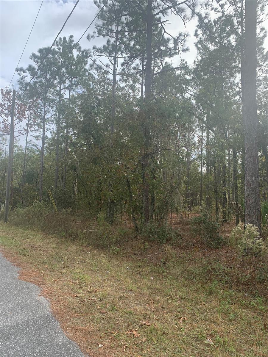0 PECAN LOOP DR photo 3