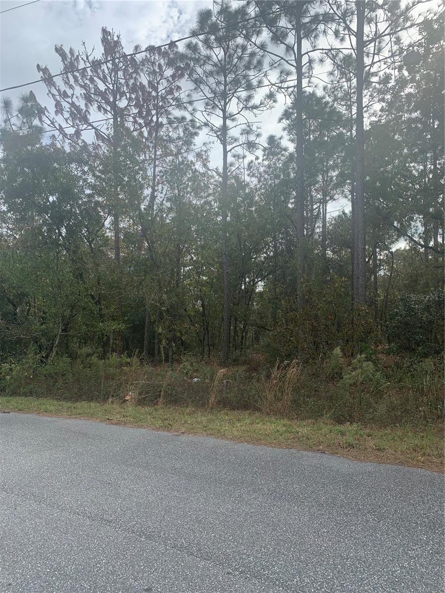 0 PECAN LOOP DR photo 4