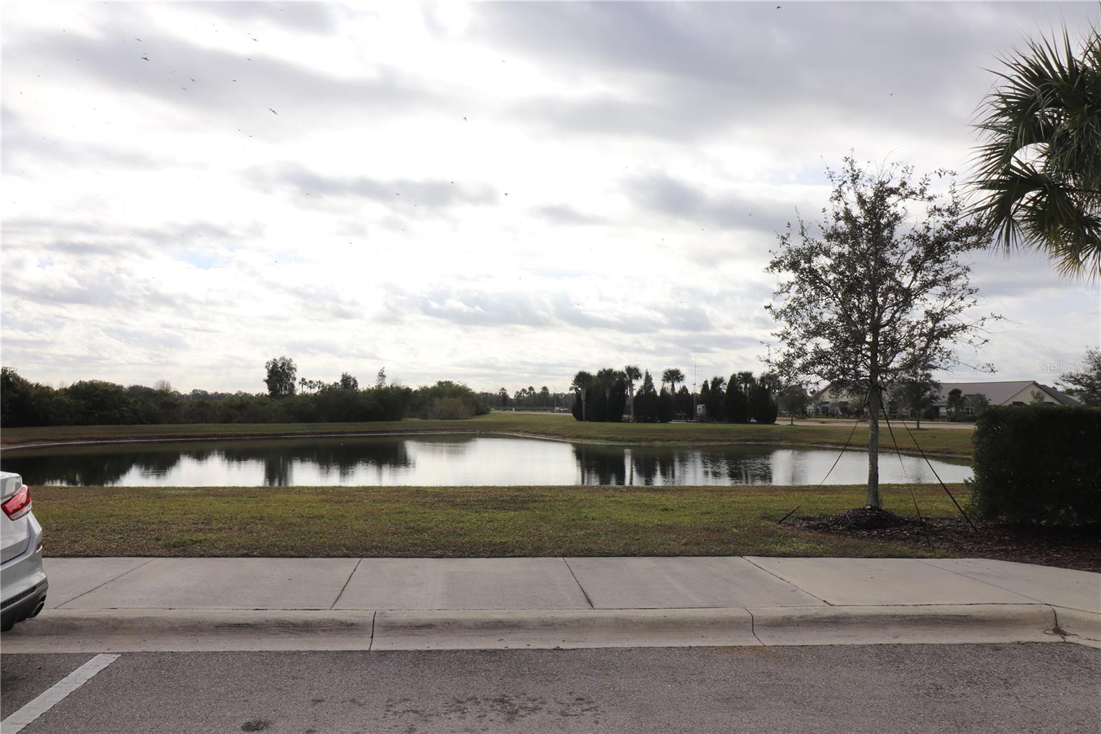 11936 SKY ACRES TER photo 5