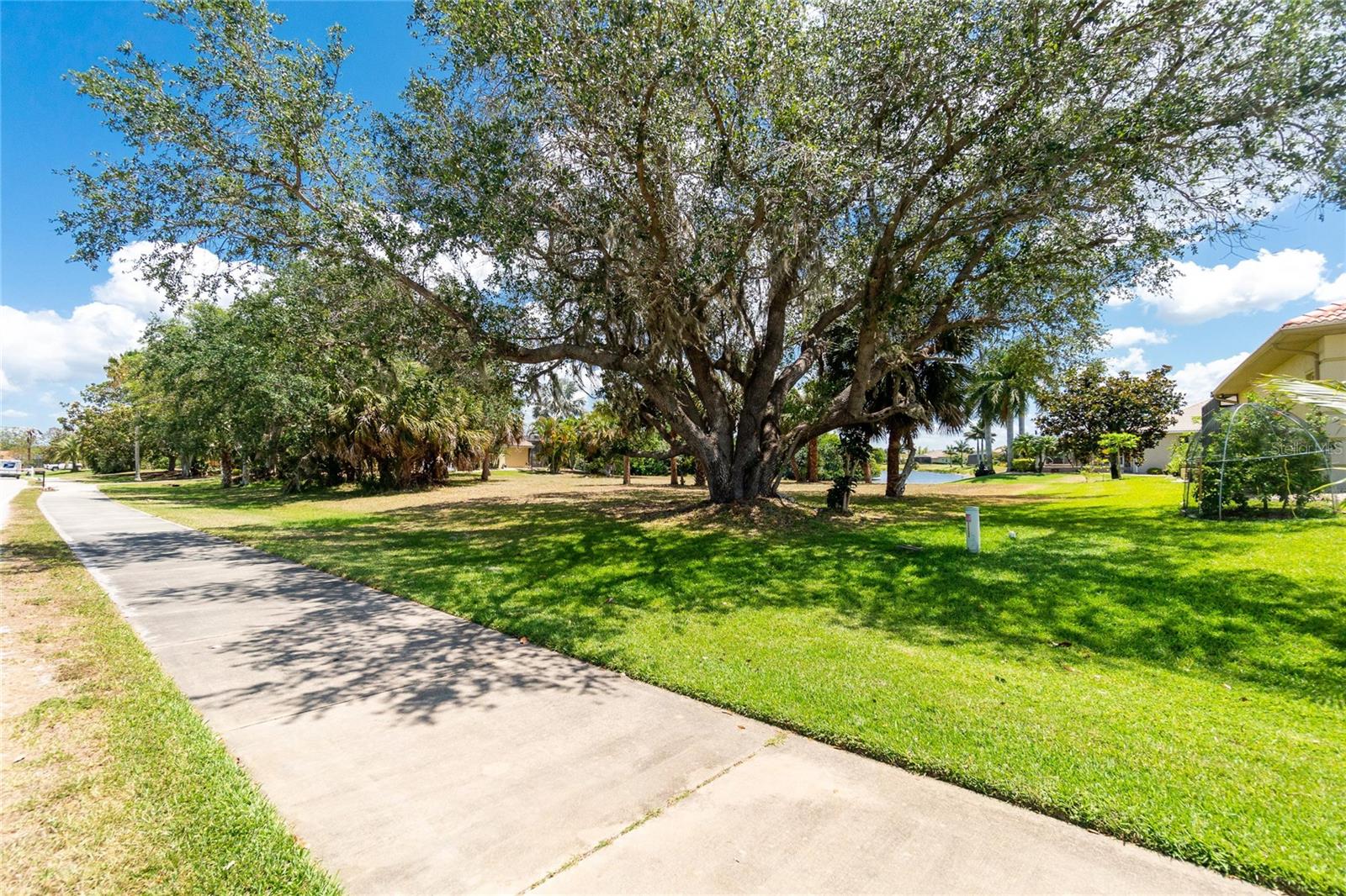 17204 CAPE HORN BLVD photo 4