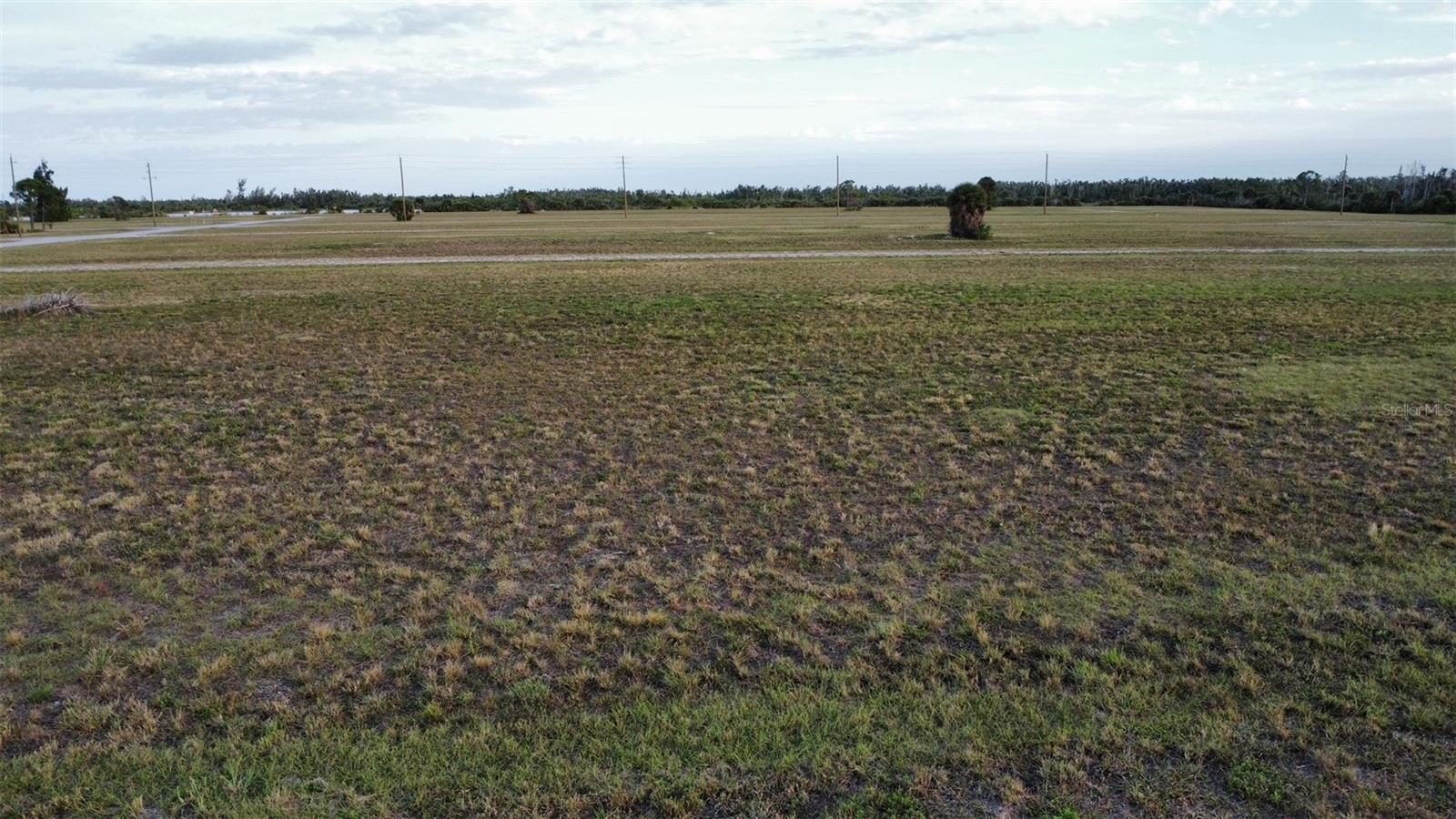 10 BOBOLINK PL photo 3