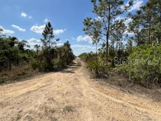 50794 BERMONT RD photo 5
