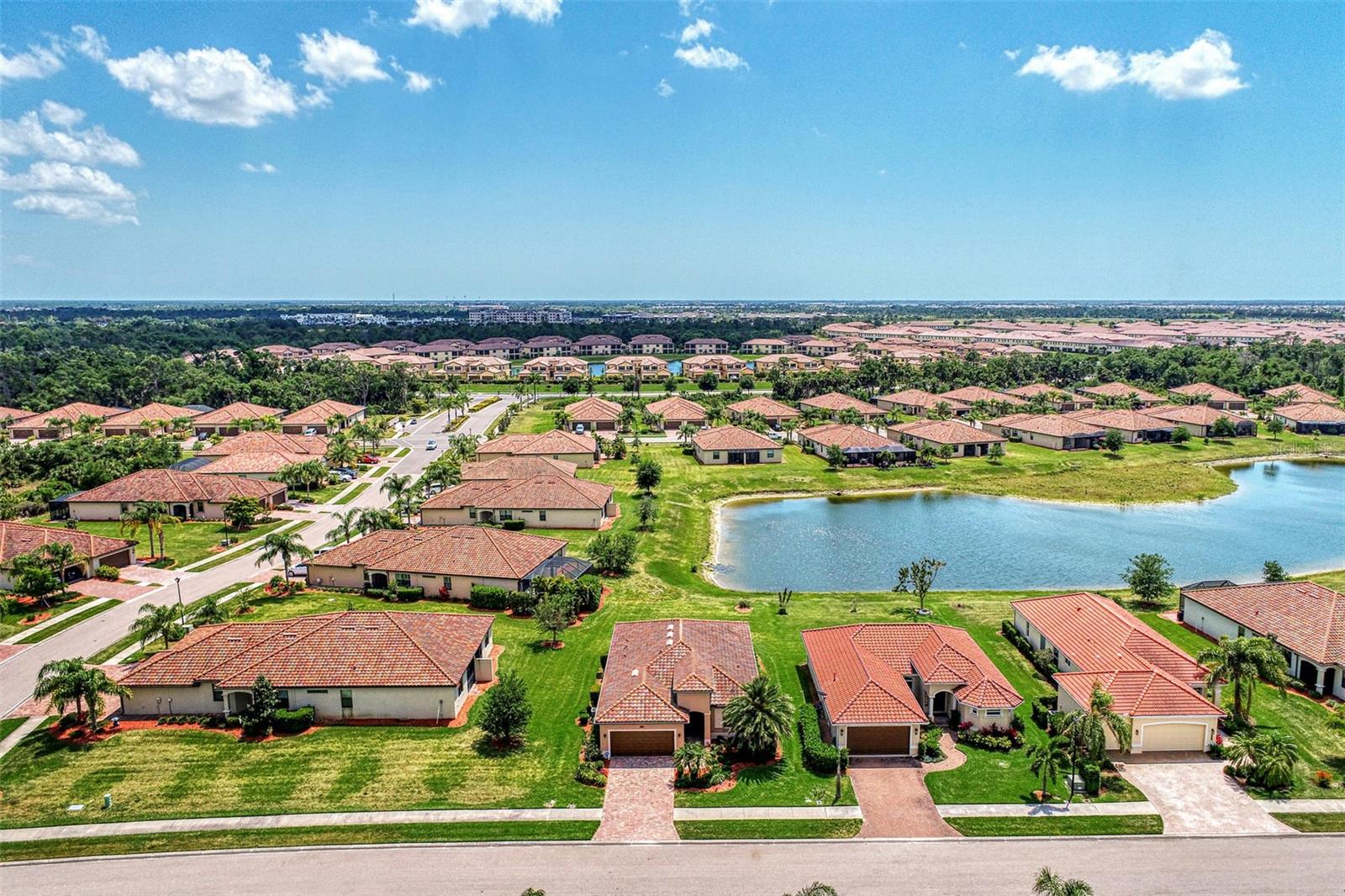 12536 FELICE DR photo 3