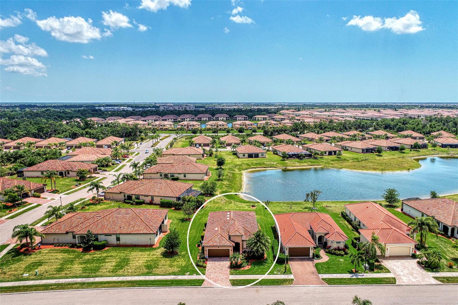 12536 FELICE DR photo 4
