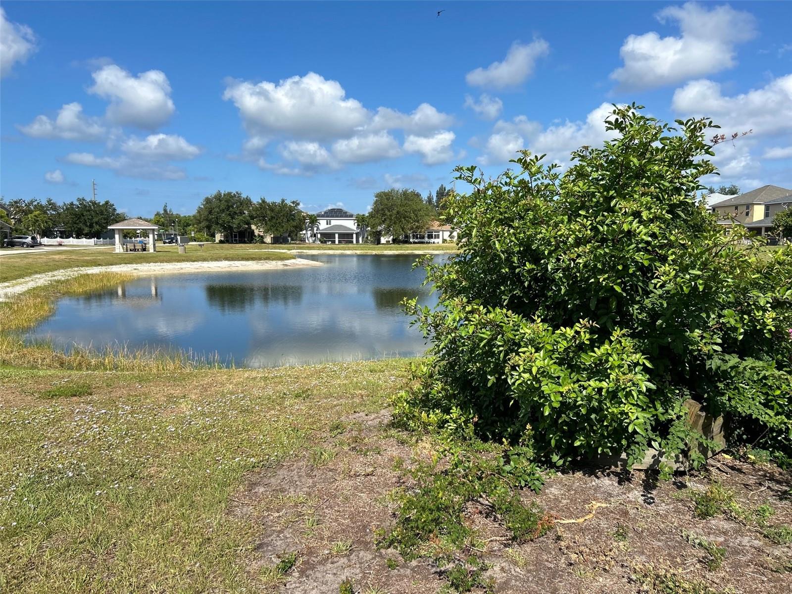 9996 SPRING GULCH LN photo 5