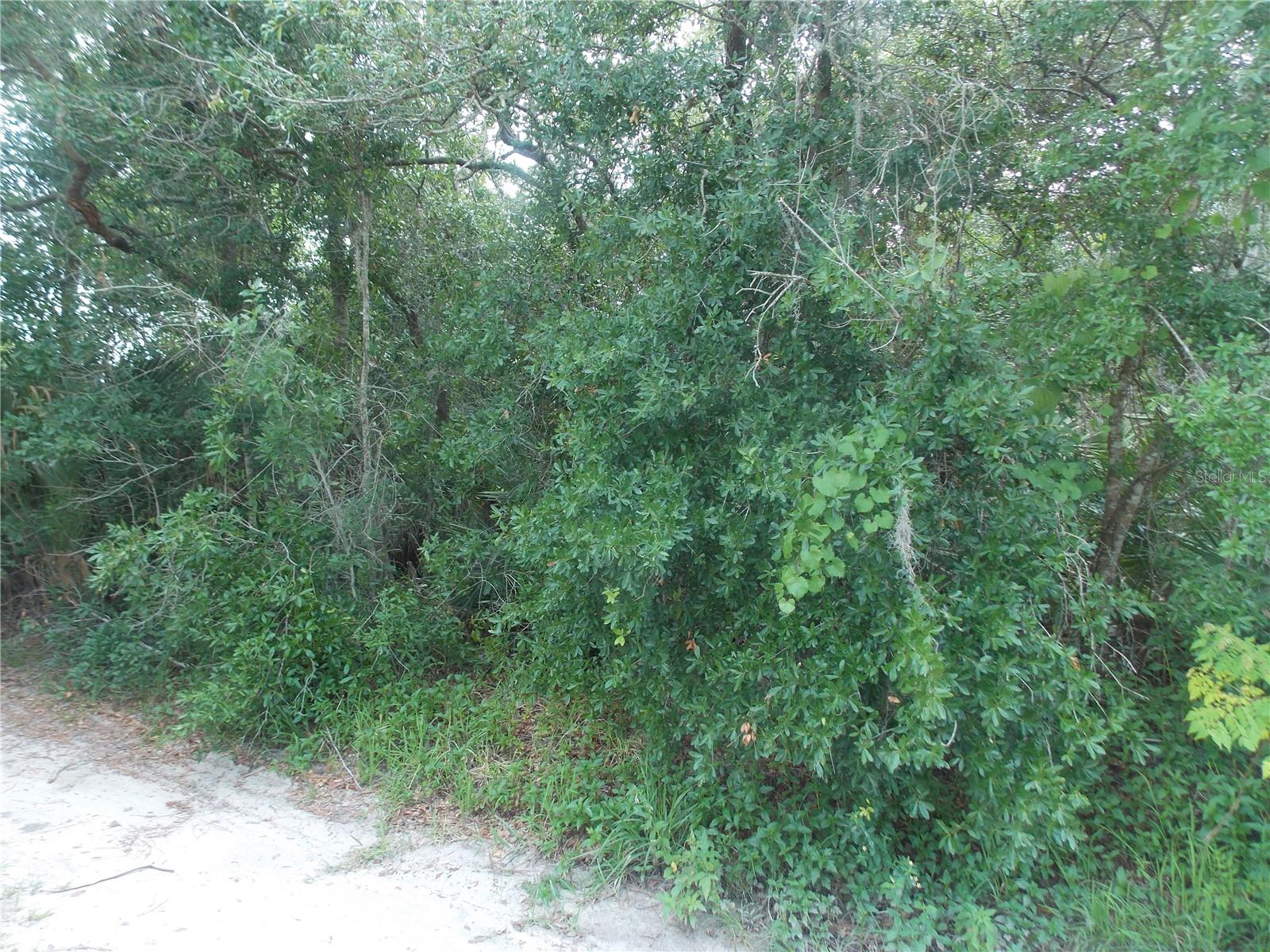 Lots 102, 103 CYPRESS DR photo 4