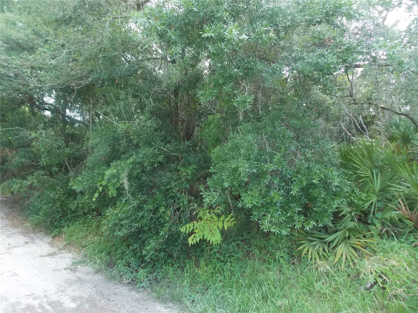 Lots 102, 103 CYPRESS DR photo 5