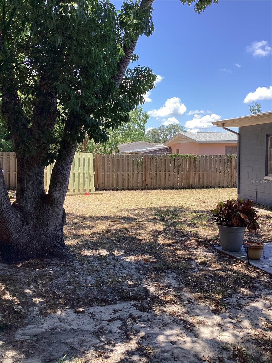 1028 EMBASSY AVE photo 3