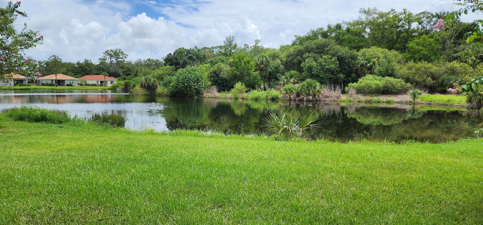 2142 SUMMERSWEET DR photo 5