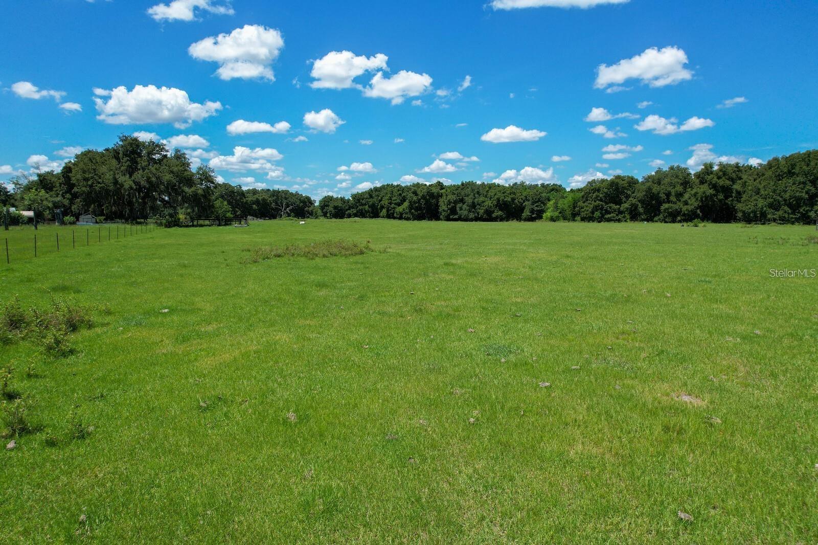 7786 COUNTY ROAD 674 photo 4