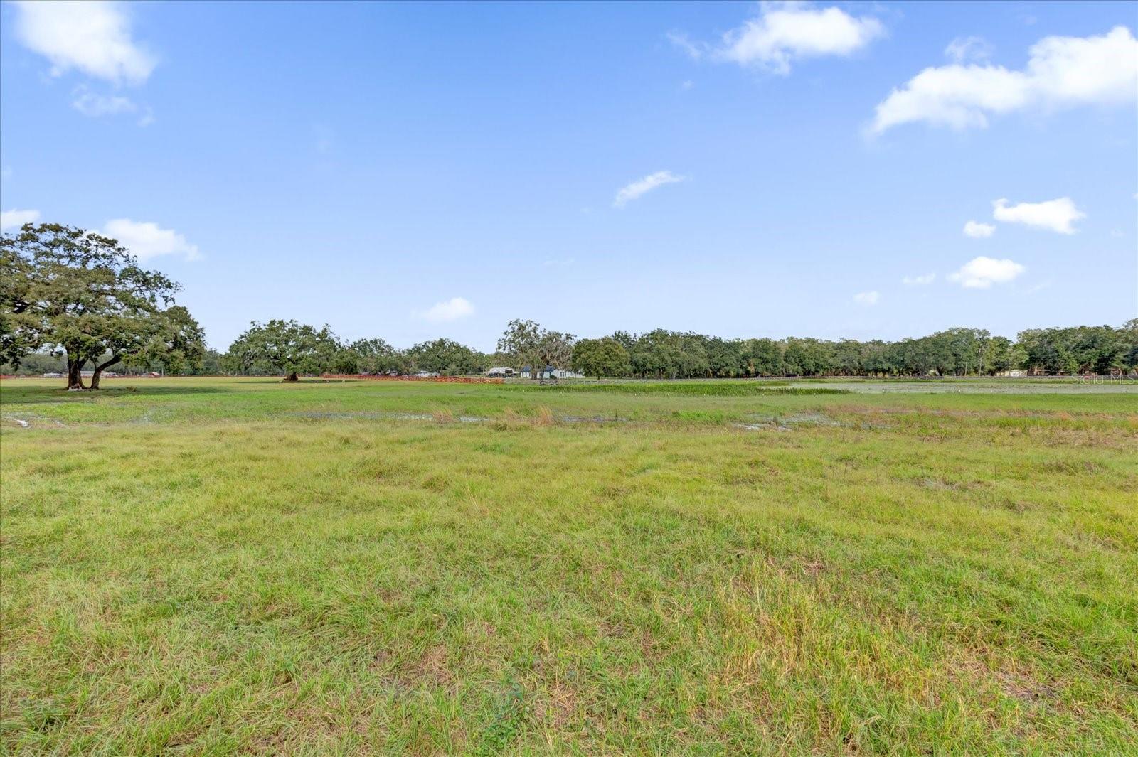 7786 COUNTY ROAD 674 photo 5