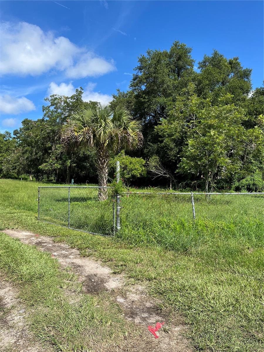 16551 POWERLINE RD photo 4