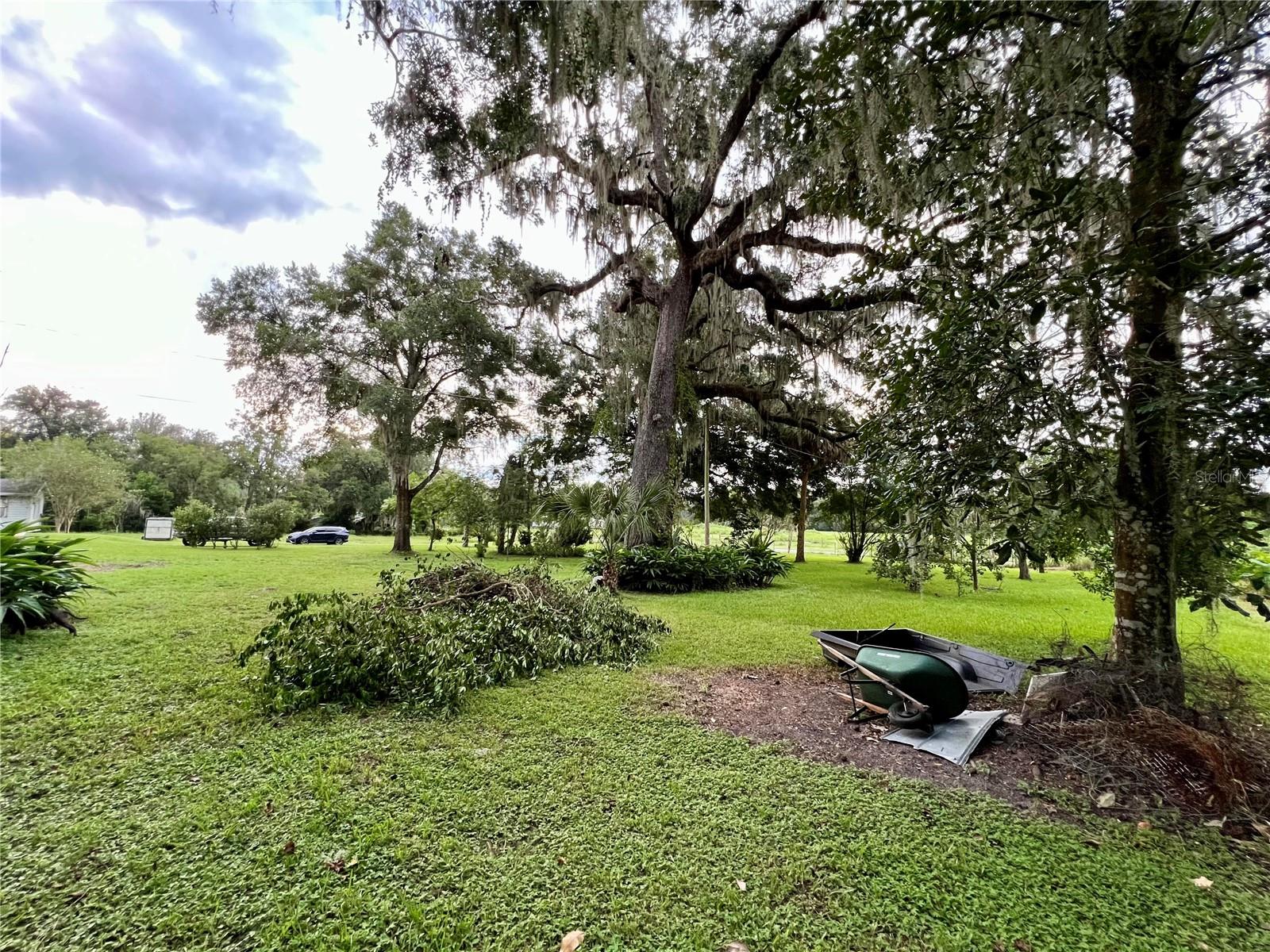 16551 POWERLINE RD photo 5