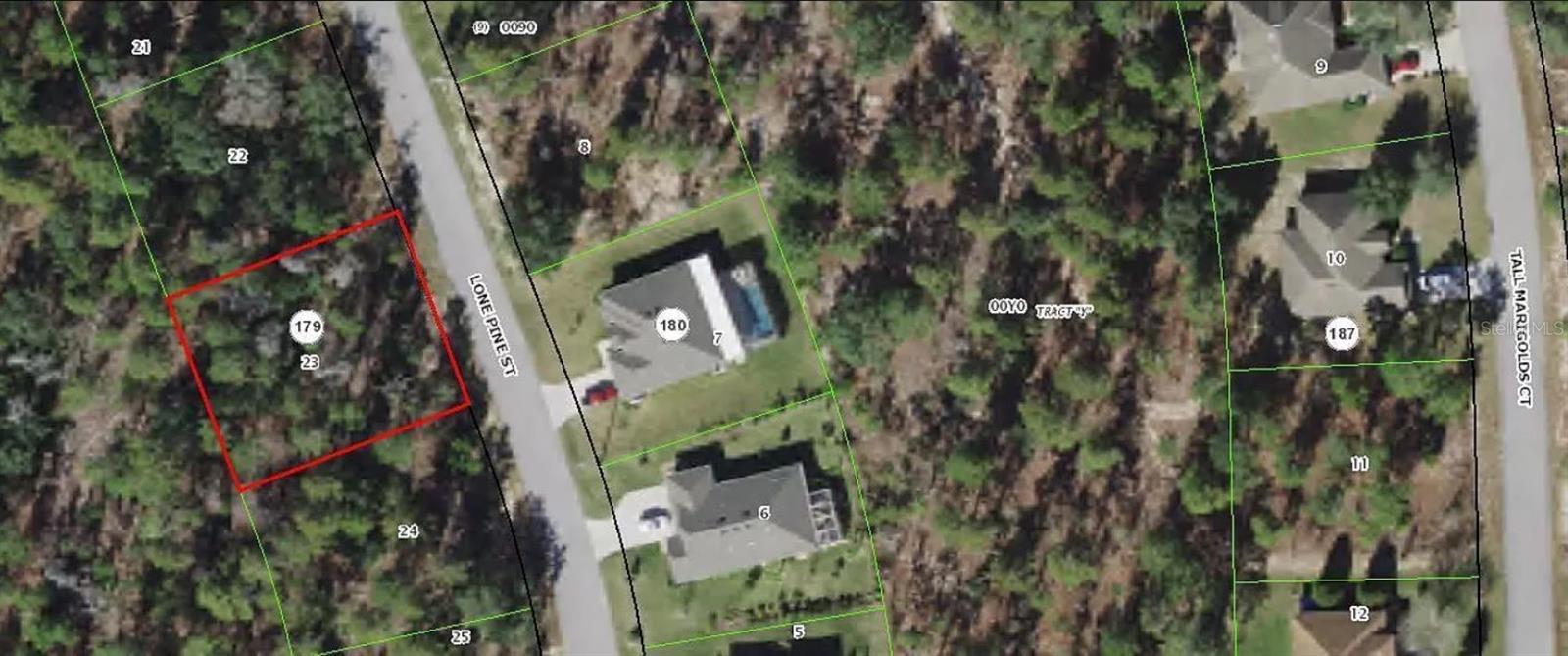 11 LONE PINE ST photo 3
