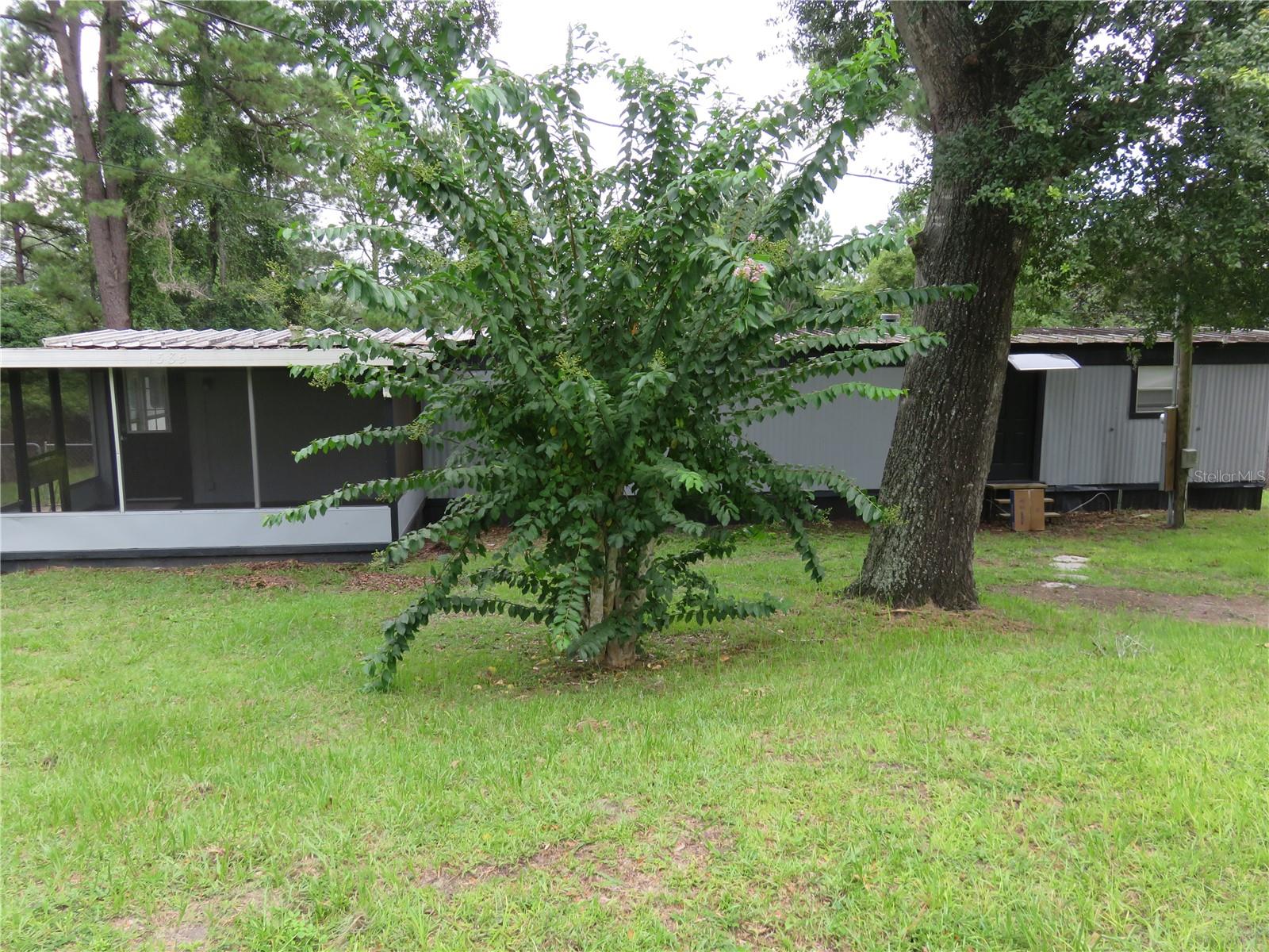 Mobile Home - Pre 1976