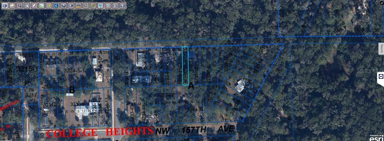 COLLEGE HEIGHTS (ALACHUA) photo 2