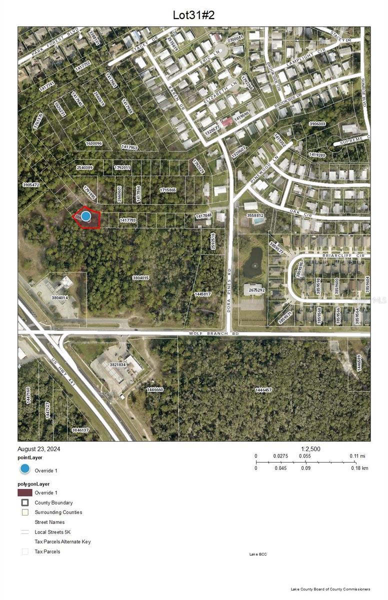 Lots 31 & 32 US-441 photo 2