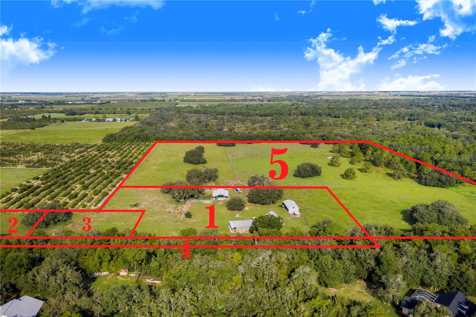 10790 JIM EDWARDS RD photo 4