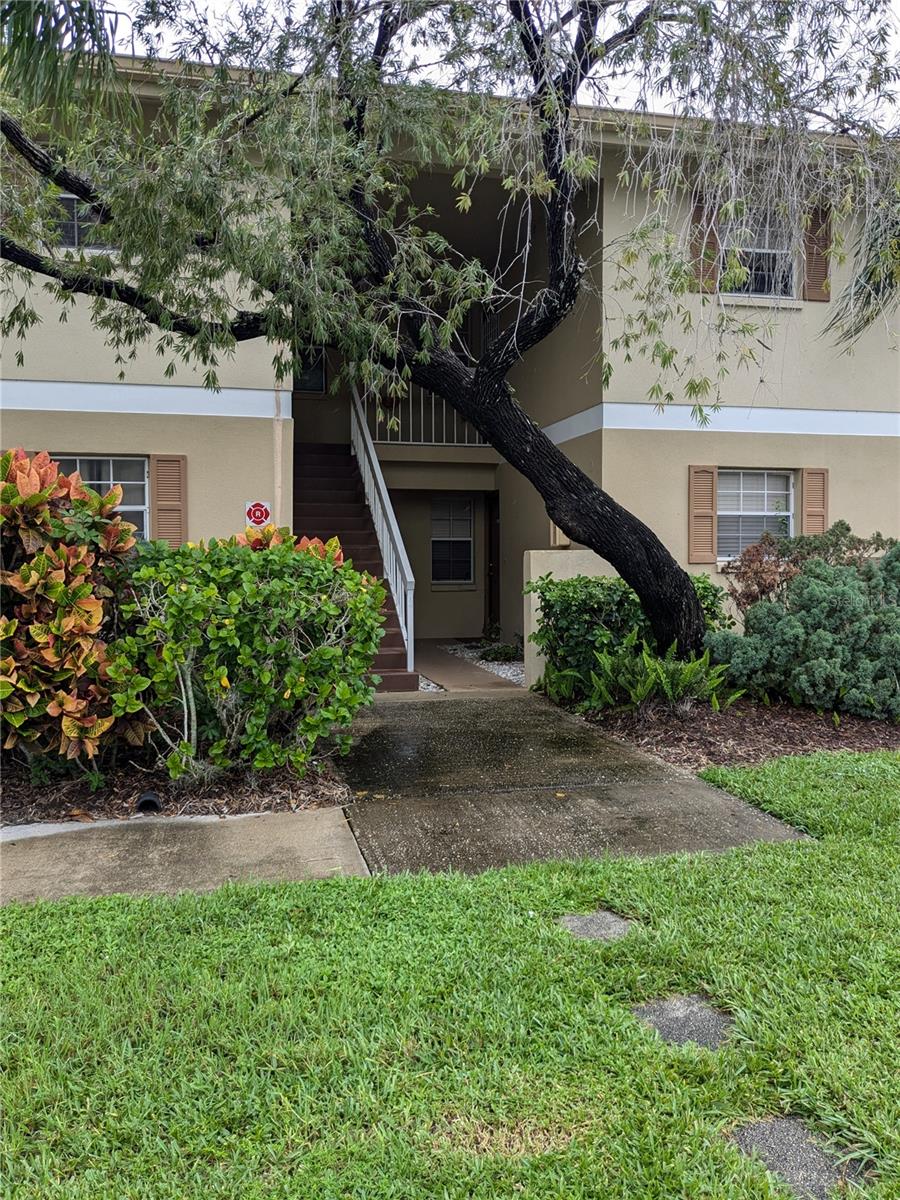 Condominium