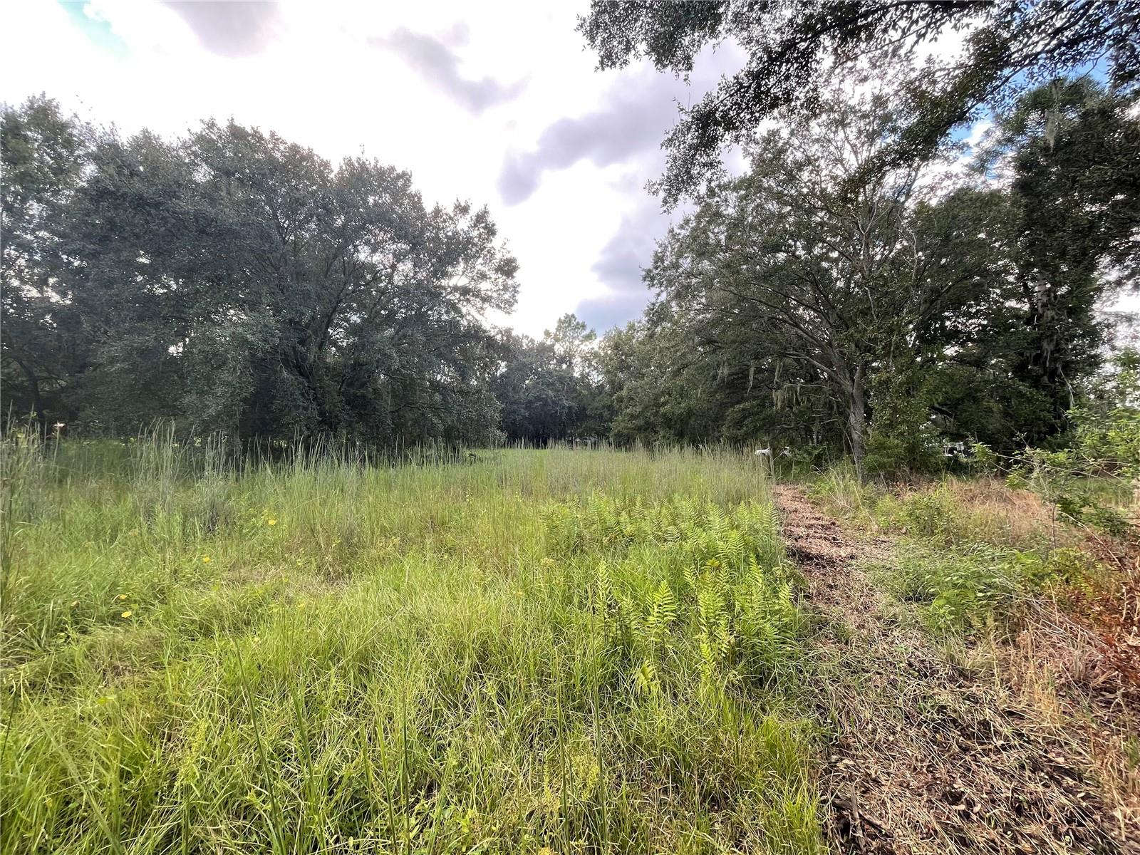 17380 RIVERSTONE DR photo 2