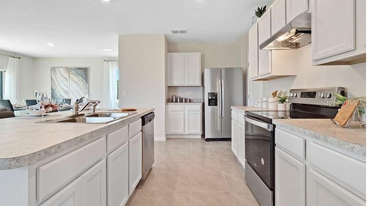 2932 WATERLILY WAY photo 3