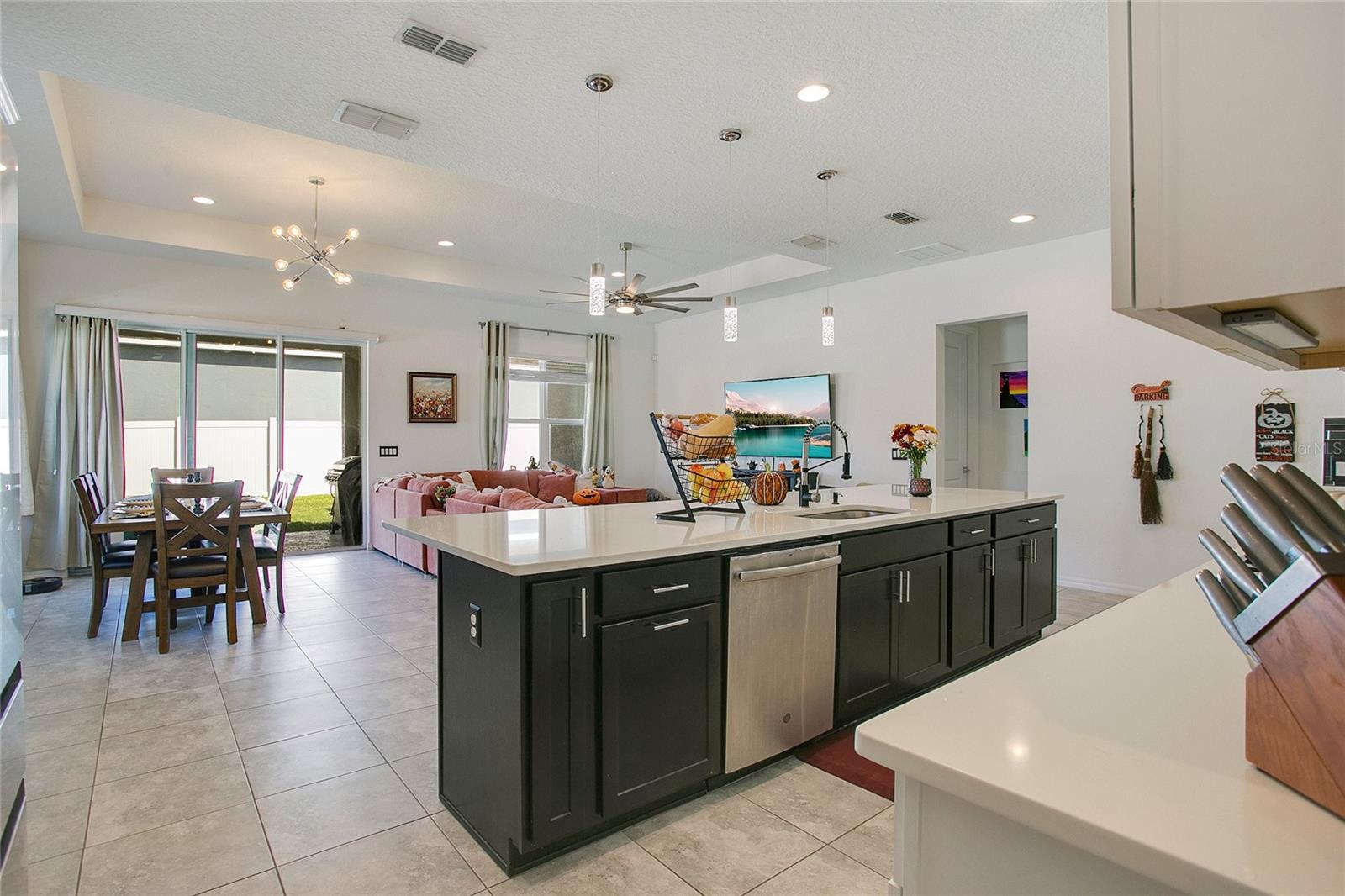 1162 ALDER TREE DR photo 4