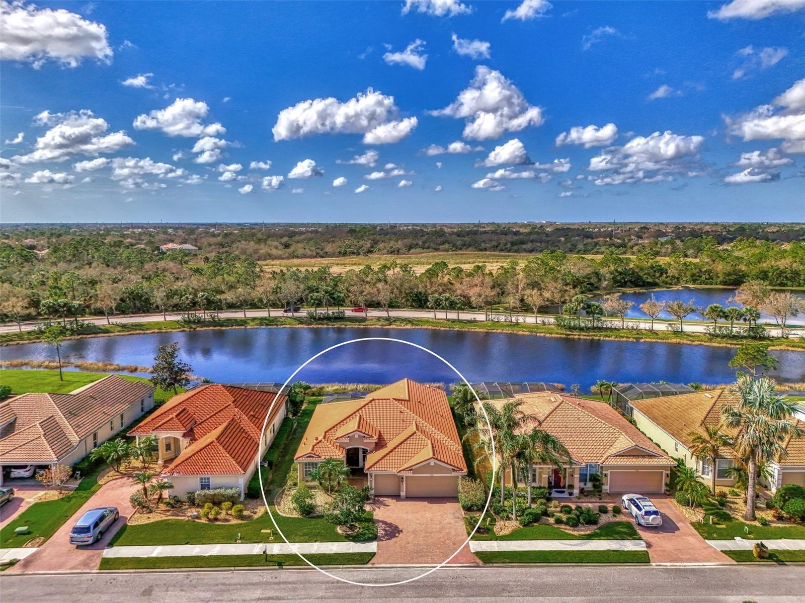 11356 DANCING RIVER DR photo 3