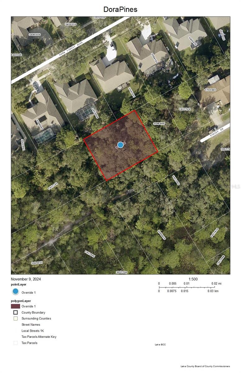 Dora Pines Lot 9 & 10 STACEY DR photo 2