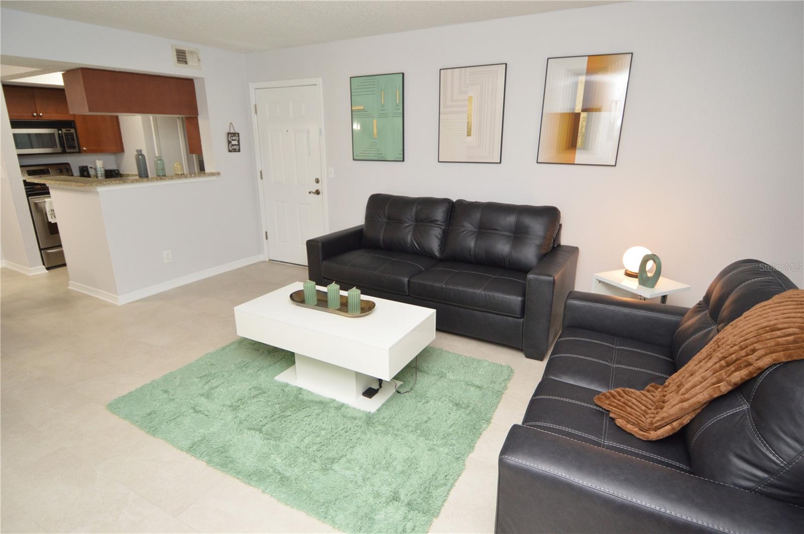 10200 GANDY BLVD N #1225 (Furnished) photo 4