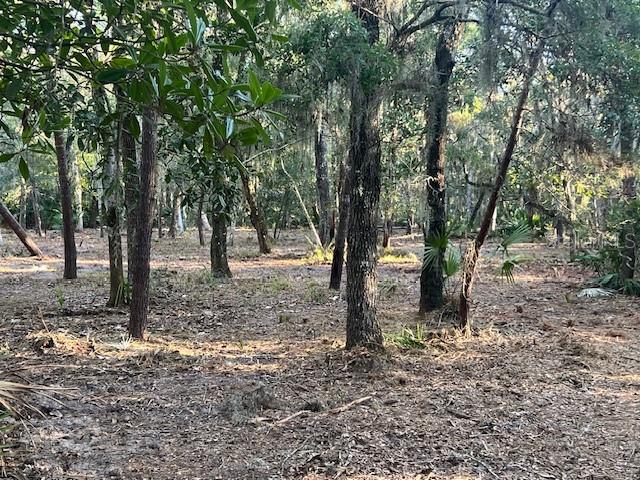 5751 JOHN ANDERSON HWY photo 2