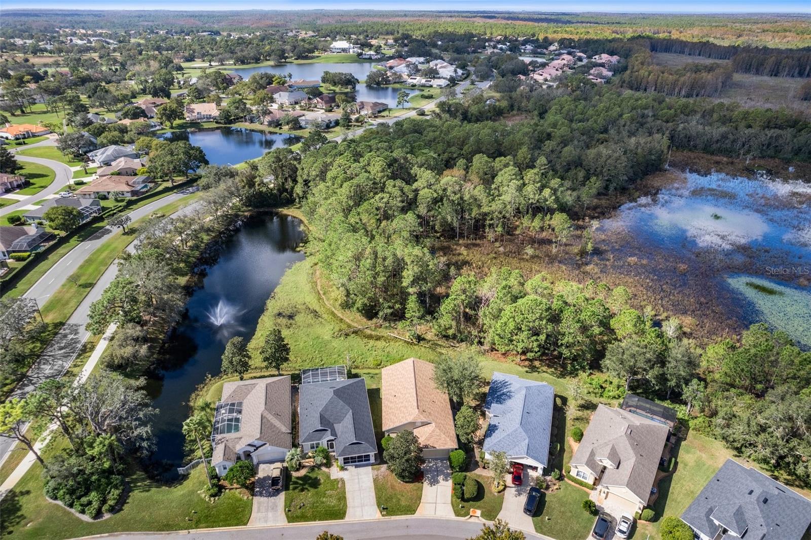 10097 HOLLY BERRY DR photo 3