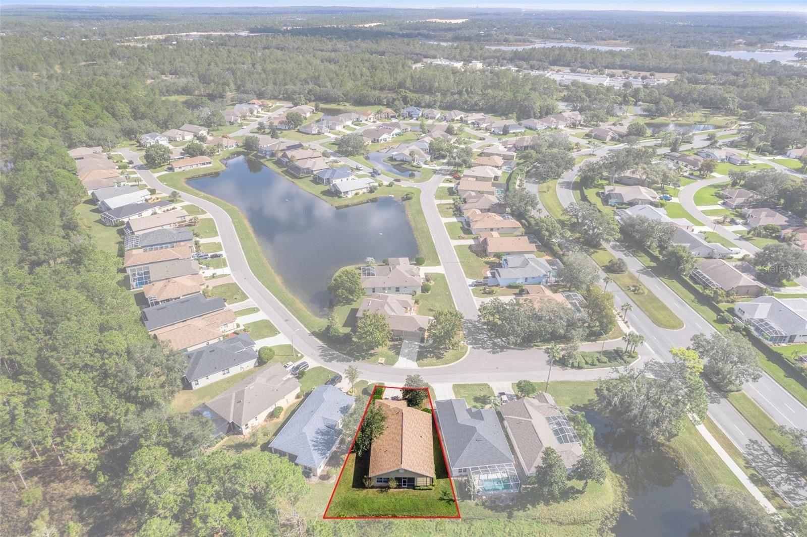 10097 HOLLY BERRY DR photo 4