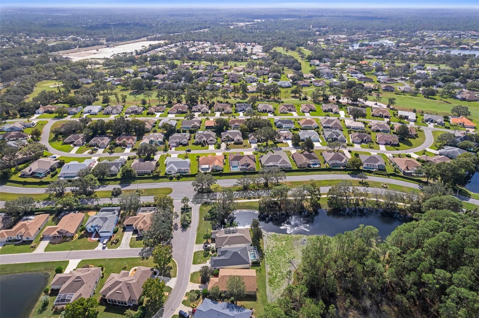 10097 HOLLY BERRY DR photo 5