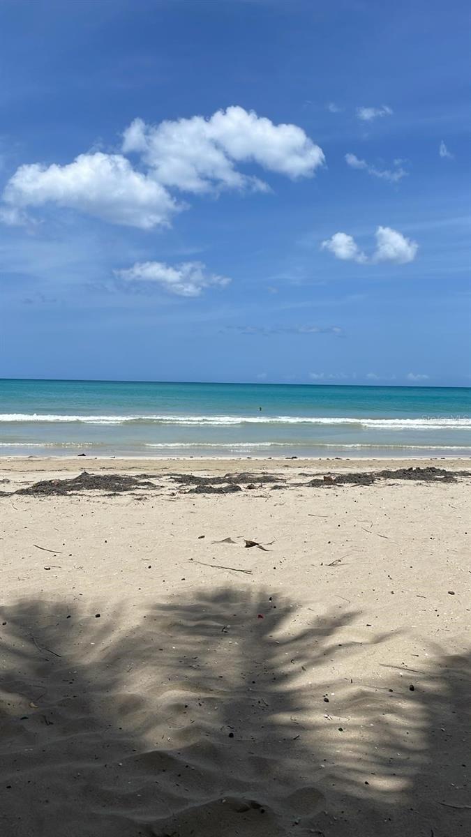 Ave Isla Verde AVE #1103 photo 3