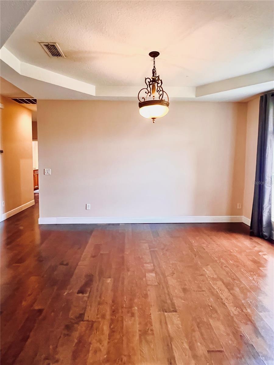906 LIVEOAK LEAF CT photo 5