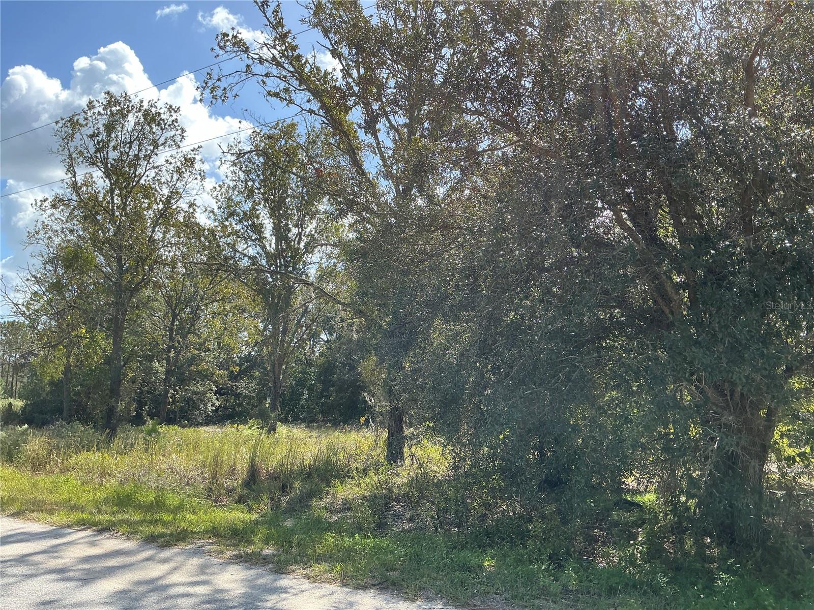 SE 112 PL photo 2