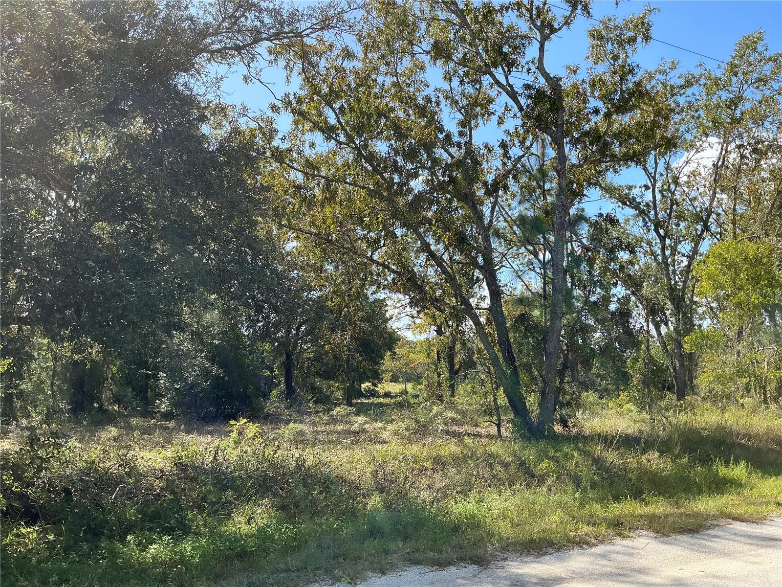 SE 112 PL photo 3