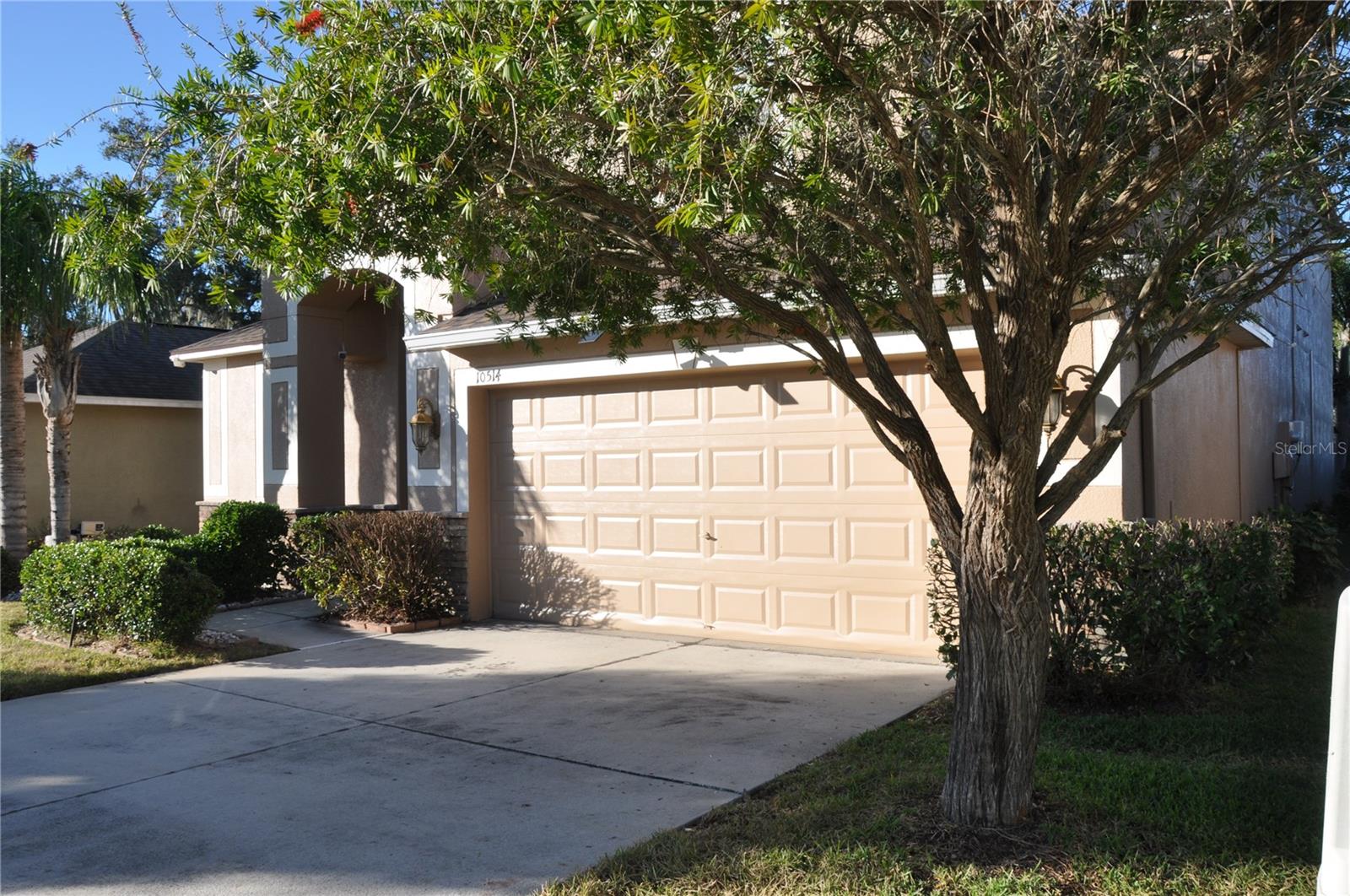 10514 SLEEPY ORANGE CT photo 2