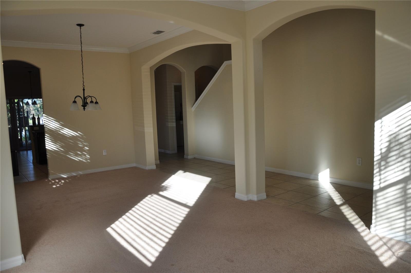 10514 SLEEPY ORANGE CT photo 5