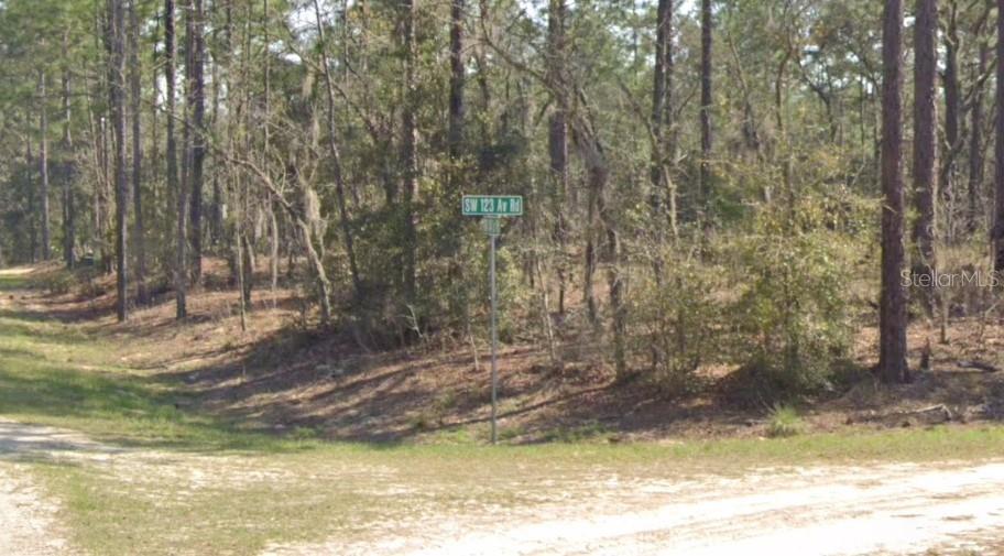 SW 54 LN photo 2