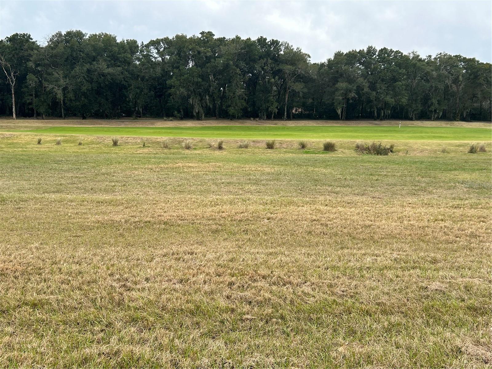 31771 RED TAIL BLVD photo 3