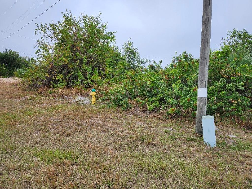 27147 SUNNYBROOK RD photo 4