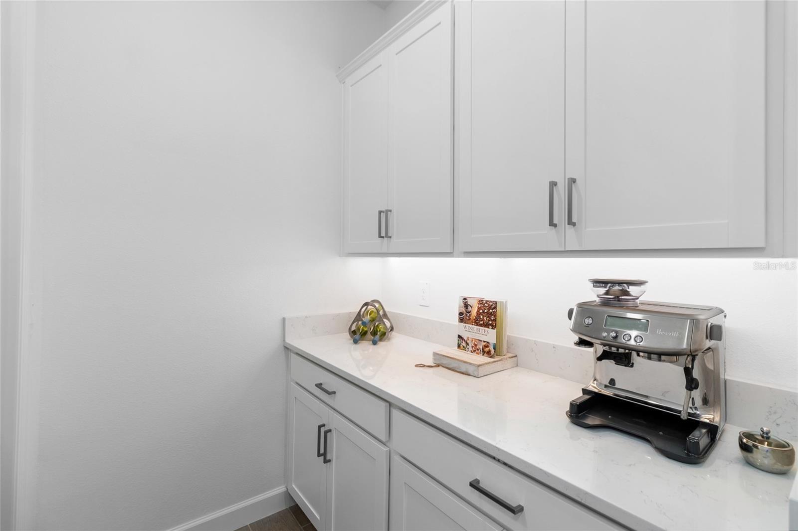 10864 BANYAN BREEZE BLVD photo 4