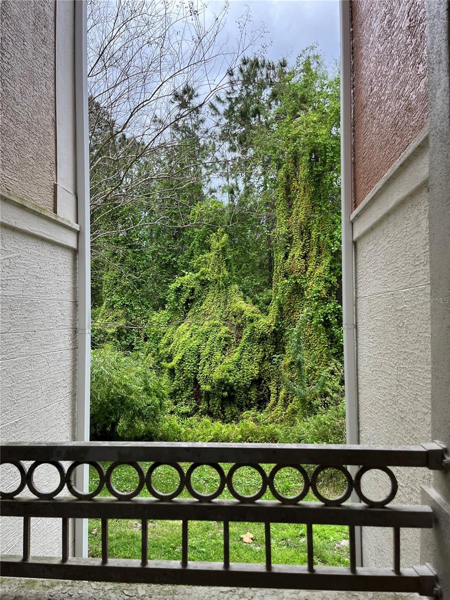 12837 MADISON POINTE CIR #205 photo 2